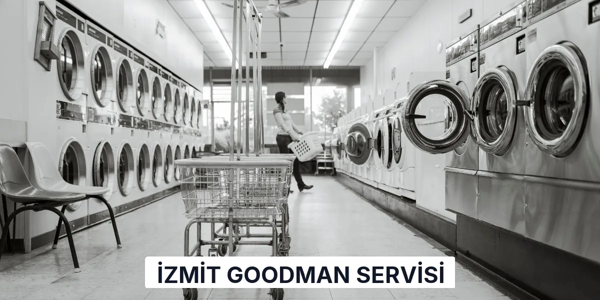 İzmit Goodman Servisi